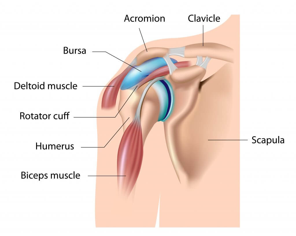 Suffering from Shoulder Pain? Try These Stretches